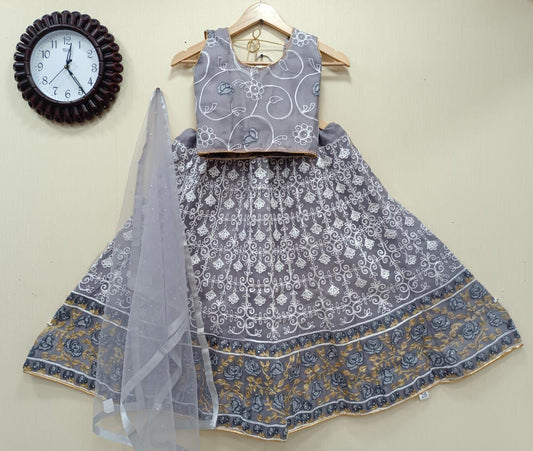 KIDS Organza  Lehenga 6